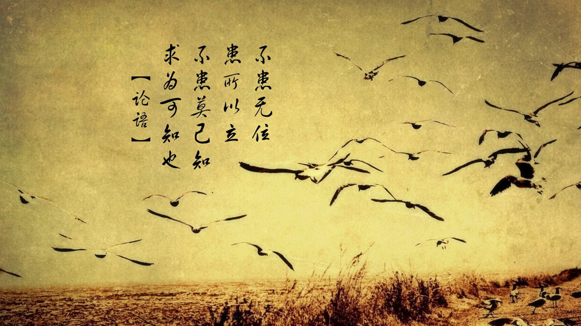 寂静的轰鸣，武切维奇如何以柔和之名，在末节宣示统治