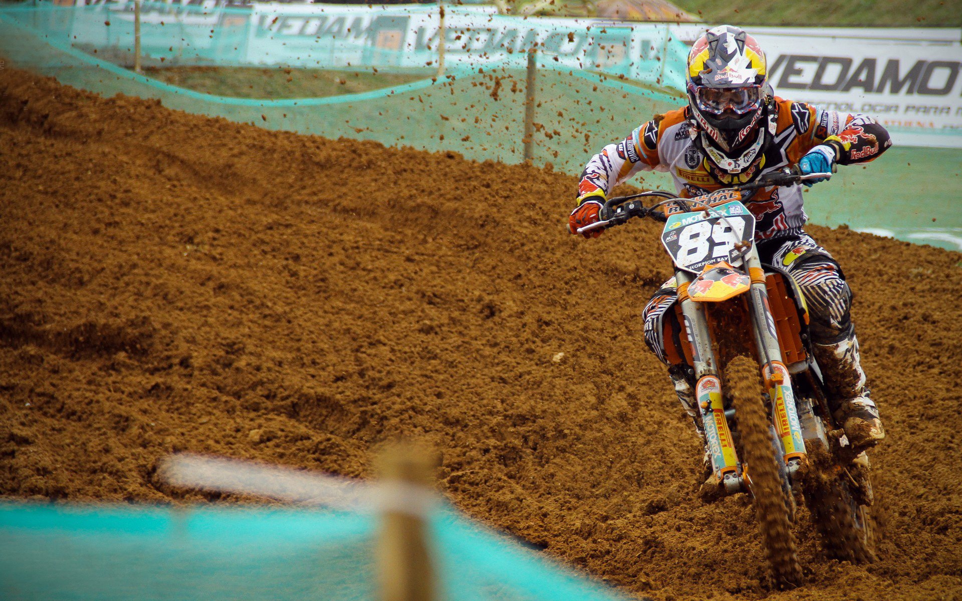 血肉鎏金的暗面异类，爱德华兹如何用最不美学的篮球，完成最残暴的征服？